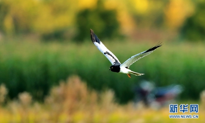 1310254827_16346148519481n 1310254827_16346148519481n