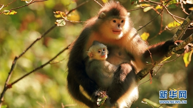 1310254827_16346148520821n 1310254827_16346148520821n