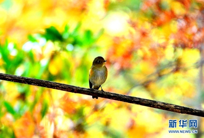 1310254827_16346148522601n 1310254827_16346148522601n