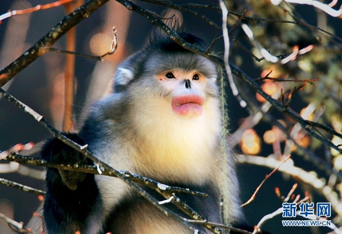 1310254827_16346148527531n 1310254827_16346148527531n