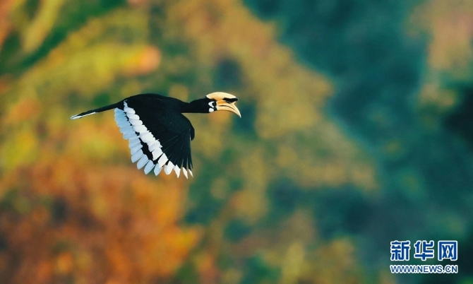 1310254827_16346148529371n 1310254827_16346148529371n