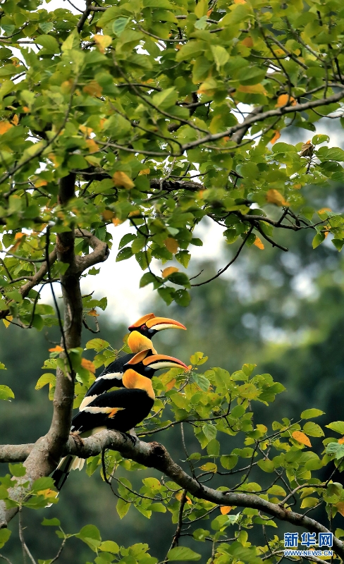 1310254827_16346148530951n 1310254827_16346148530951n