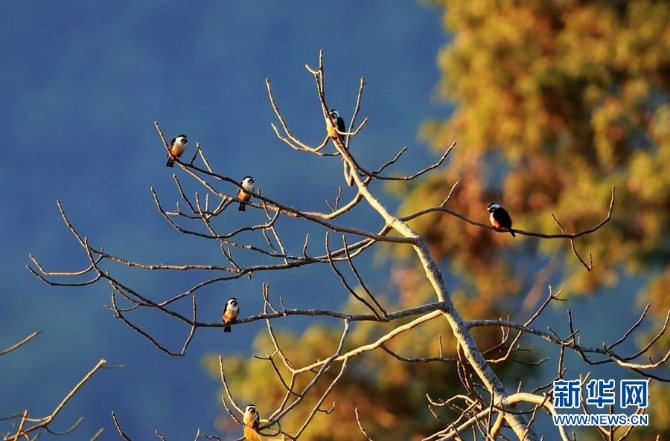 1310254827_16346148535571n 1310254827_16346148535571n