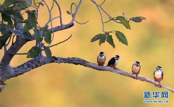 1310254827_16346148536921n 1310254827_16346148536921n