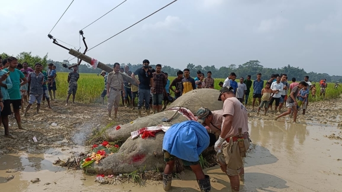 9197128b6e52bcfc02e9d5349e7ce348