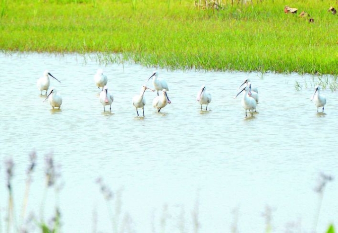 e55ecd2a3d0cd63c8317fae305da78c1 e55ecd2a3d0cd63c8317fae305da78c1