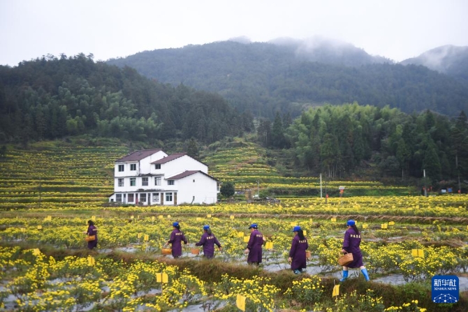 202111057915e4f5406d41f7b137d8d95de058ef_890kLbd7VCpolt4rWh.jpg 202111057915e4f5406d41f7b137d8d95de058ef_890kLbd7VCpolt4rWh.jpg