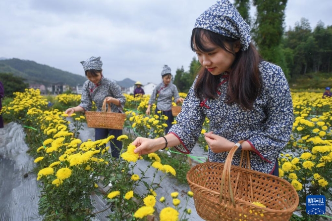 202111057915e4f5406d41f7b137d8d95de058ef_69cXJgQTDOBNPfzU8f.jpg 202111057915e4f5406d41f7b137d8d95de058ef_69cXJgQTDOBNPfzU8f.jpg