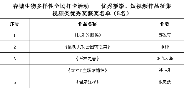 视频类优秀奖获奖名单1