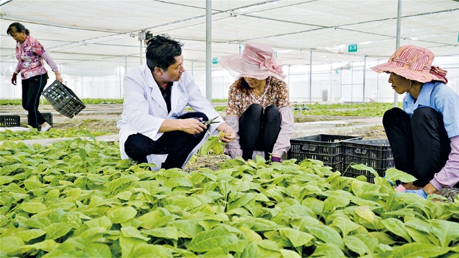 202111051150595152 202111051150595152