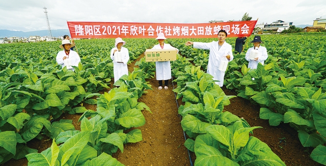 202111051151004863 202111051151004863