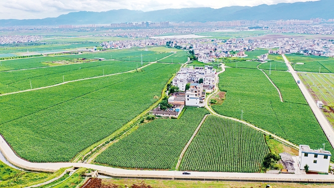 202111051151008927 202111051151008927