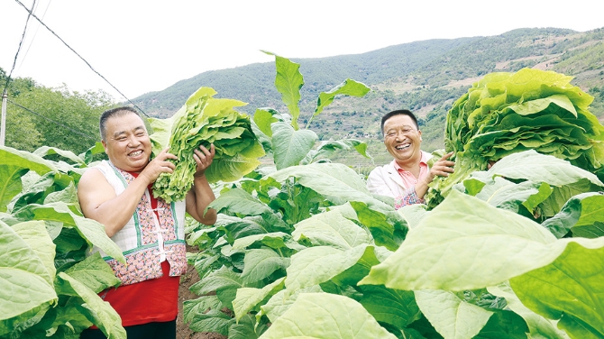 202111051151012694 202111051151012694