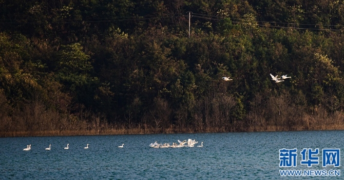 1128063003_16368780720971n