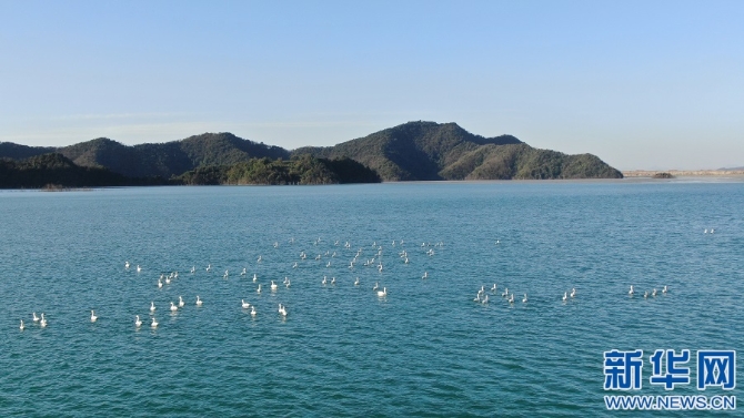 1128063003_16368780721841n