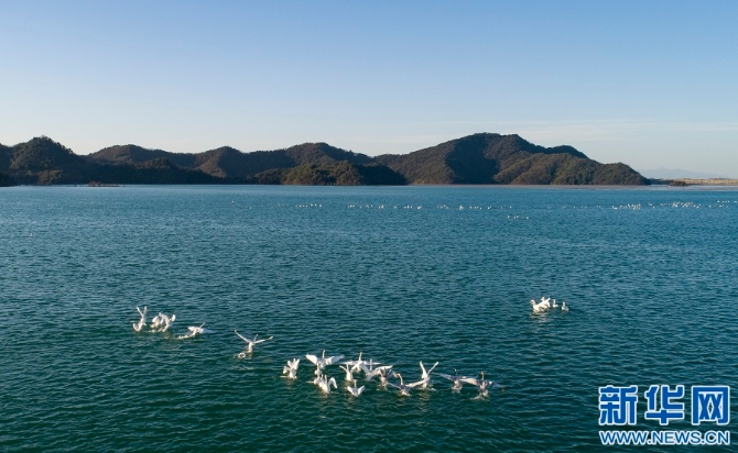 1128063003_16368780722241n