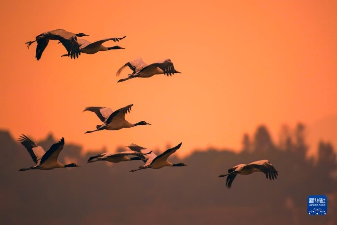 f44d30758ab022fffce33a f44d30758ab022fffce33a