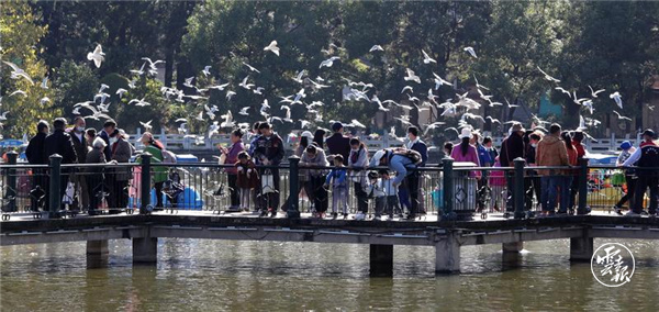 code_ynrb7bc2b7e3-10f5-410b-a867-adeb296fb310 code_ynrb7bc2b7e3-10f5-410b-a867-adeb296fb310