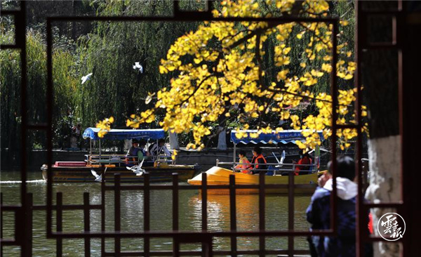 code_ynrb8e7d8a65-c7a9-4810-a76a-d64c4b317a4f code_ynrb8e7d8a65-c7a9-4810-a76a-d64c4b317a4f