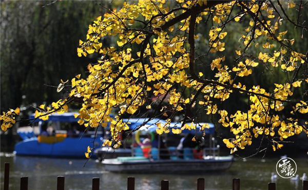 code_ynrb86b3b56d-cdd4-4705-99d0-27e9138472d1 code_ynrb86b3b56d-cdd4-4705-99d0-27e9138472d1