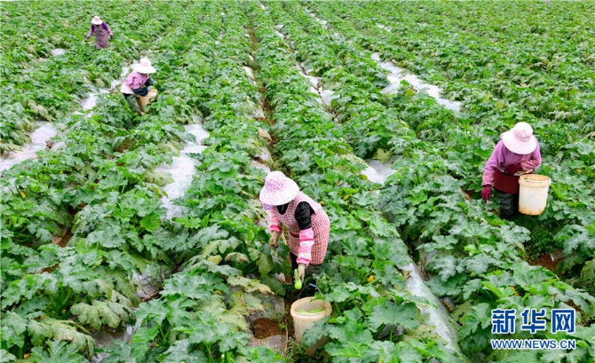 1310343226_16382690941241n