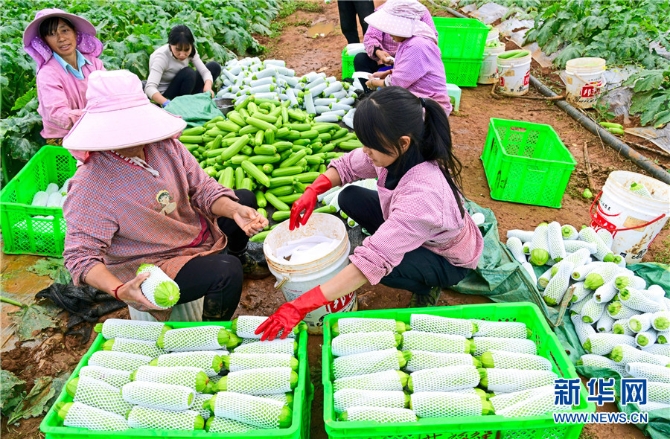 1310343226_16382690945561n