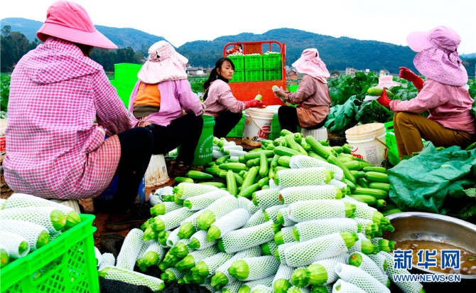 1310343226_16382690947641n