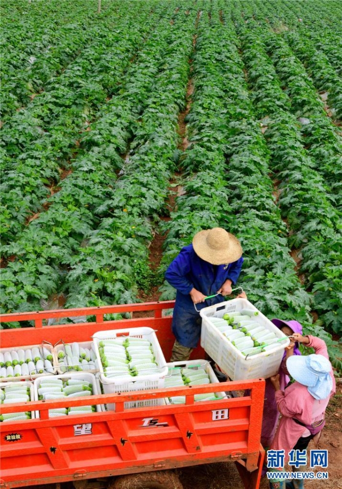 1310343226_16382690949251n