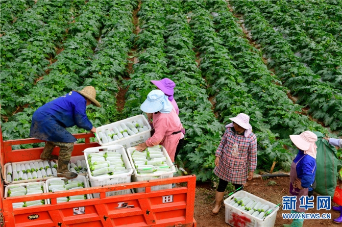 1310343226_16382690950791n