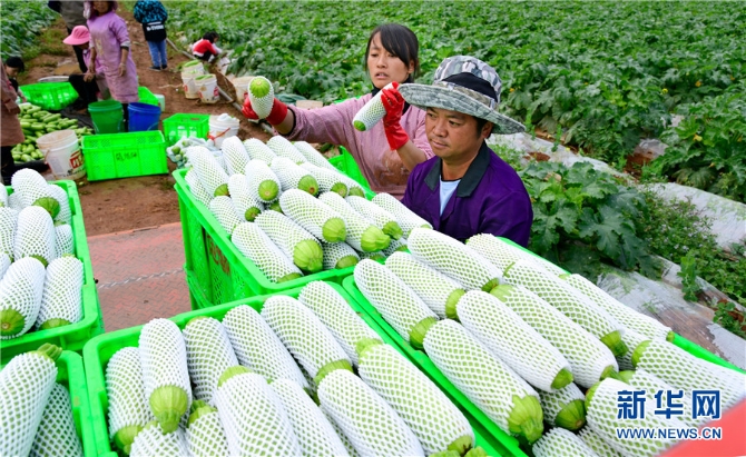 1310343226_16382690952541n