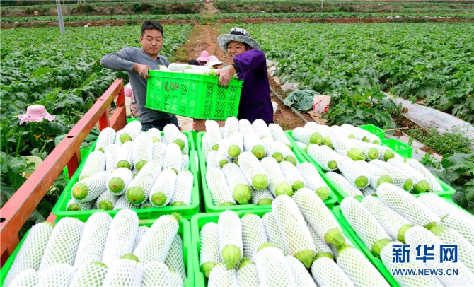 1310343226_16382690954351n