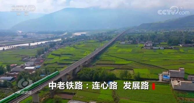 2021120322205933951 2021120322205933951