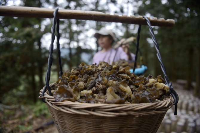 1128125665_16384573863651n 1128125665_16384573863651n