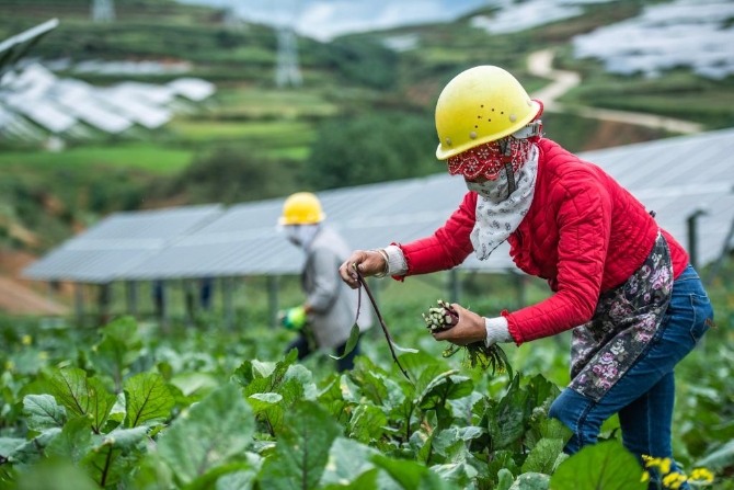 1128125665_16384573863631n 1128125665_16384573863631n