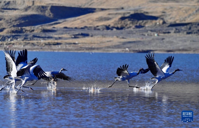 f44d30758ab0231bfbfa4b f44d30758ab0231bfbfa4b