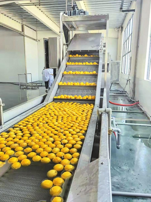 微信图片_20211215095455