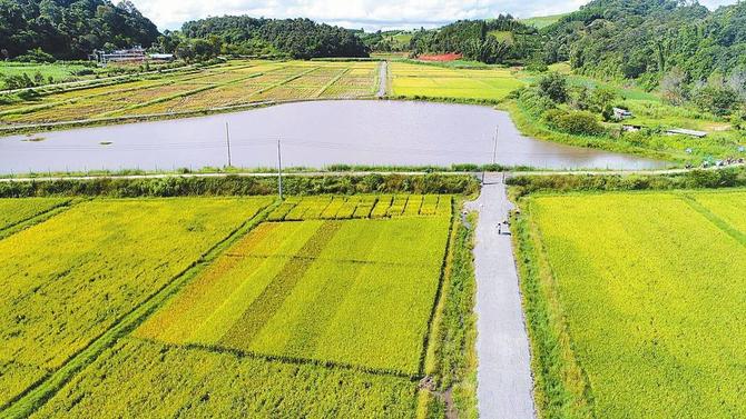 微信图片_20211217090243 微信图片_20211217090243