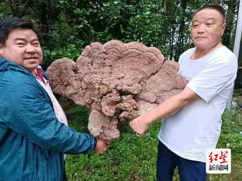 点击查看高清原图