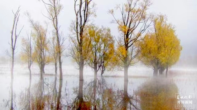 开屏策划|冬至云南—会泽念湖(开屏新闻记者及通讯员 摄)