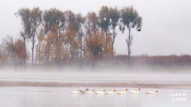 开屏策划|冬至云南—会泽念湖(开屏新闻记者及通讯员 摄)