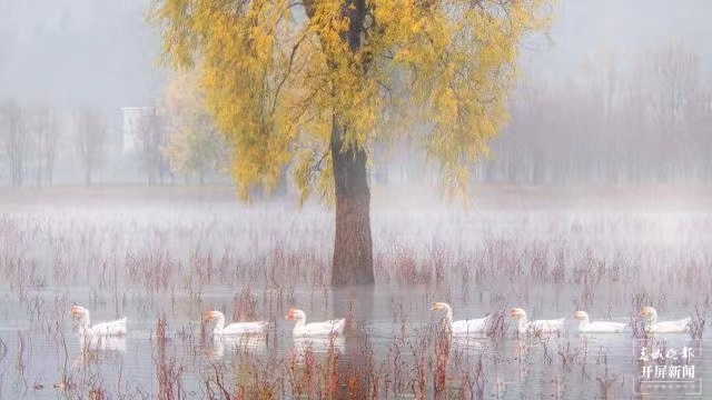 开屏策划|冬至云南—会泽念湖(开屏新闻记者及通讯员 摄)