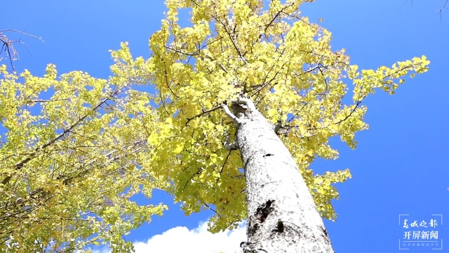 开屏策划|冬至云南—保山施甸(开屏新闻记者及通讯员 摄)