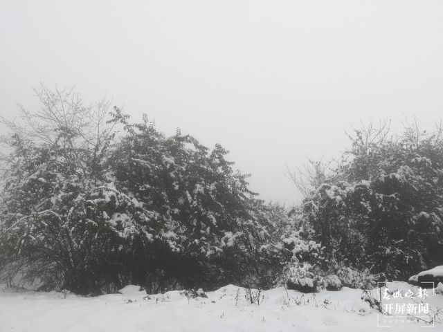 保山多地迎来今冬第一场雪（开屏新闻记者 崔敏 通讯员 毛三 吴再忠 杨林元 朱庆 杨丽娟 杨群 万剑波 摄）