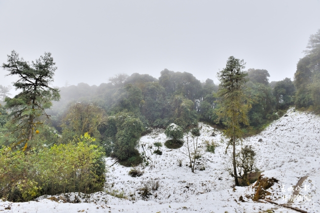 保山多地迎来今冬第一场雪（开屏新闻记者 崔敏 通讯员 毛三 吴再忠 杨林元 朱庆 杨丽娟 杨群 万剑波 摄）