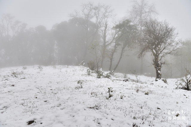 保山多地迎来今冬第一场雪（开屏新闻记者 崔敏 通讯员 毛三 吴再忠 杨林元 朱庆 杨丽娟 杨群 万剑波 摄）