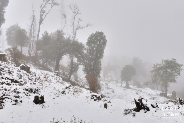 保山多地迎来今冬第一场雪（开屏新闻记者 崔敏 通讯员 毛三 吴再忠 杨林元 朱庆 杨丽娟 杨群 万剑波 摄）