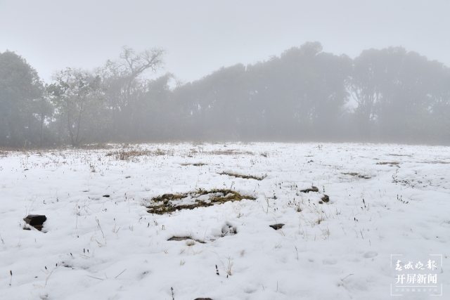 保山多地迎来今冬第一场雪（开屏新闻记者 崔敏 通讯员 毛三 吴再忠 杨林元 朱庆 杨丽娟 杨群 万剑波 摄）