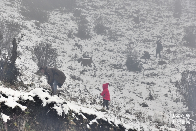 保山多地迎来今冬第一场雪（开屏新闻记者 崔敏 通讯员 毛三 吴再忠 杨林元 朱庆 杨丽娟 杨群 万剑波 摄）