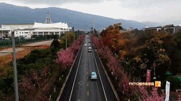 2654497794_6bc4335ffde85fa78c01c8478ee16188@!fwsaa.gif