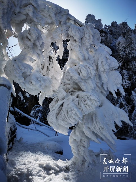 昭通雪景（开屏新闻记者 申时勋 通讯员 白鸟 戴虞梦 陈光惠 摄）